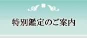 特別鑑定のご案内